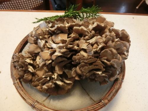 f0230888_20315996.jpg