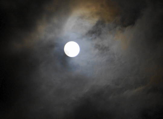 c0122791_215041.jpg