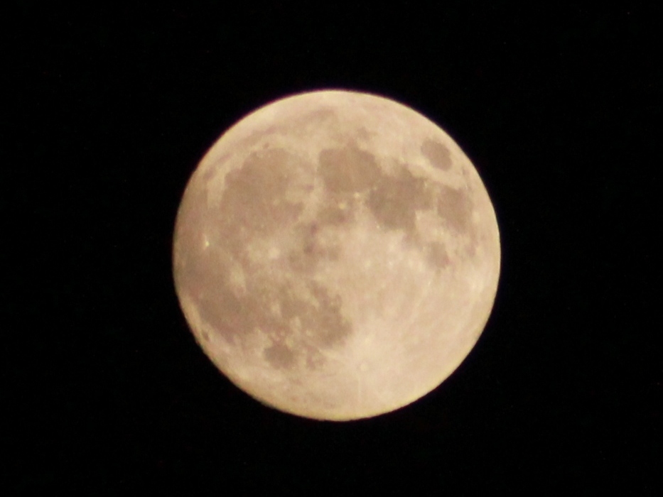 c0151691_20381372.jpg