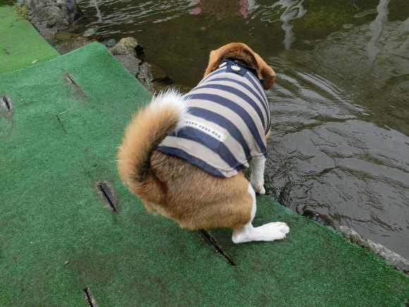a0319693_10533480.jpg