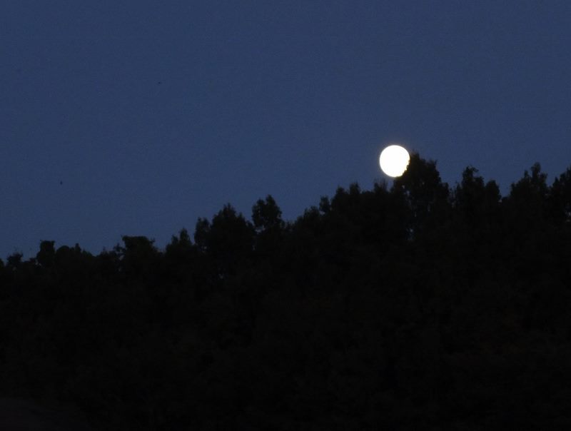 b0212396_23492619.jpg