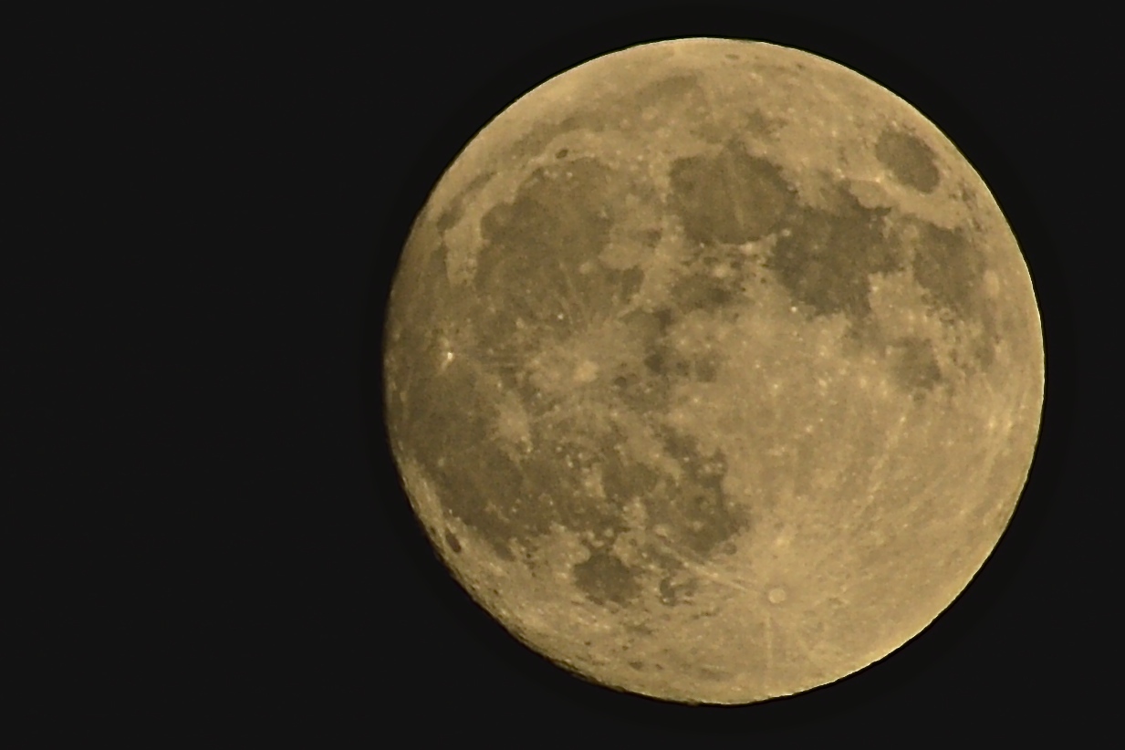 b0188998_22501875.jpg