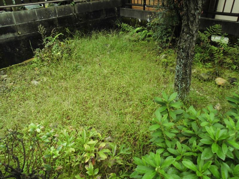 c0108198_18142646.jpg