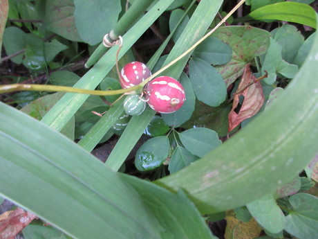 a0203003_20334161.jpg