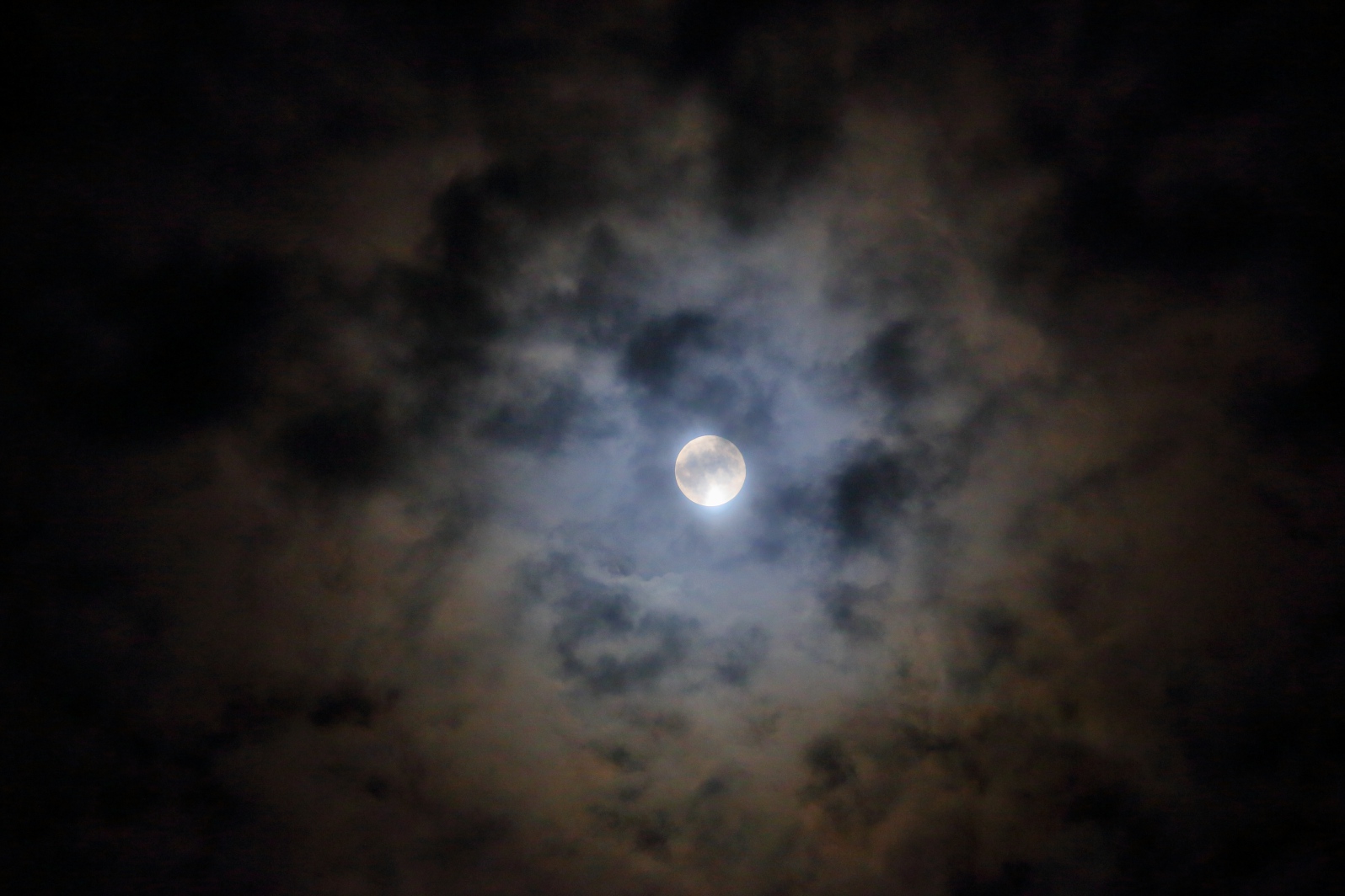 a0155104_21422773.jpg