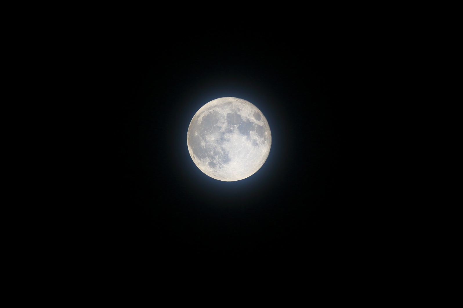 a0155104_21423280.jpg