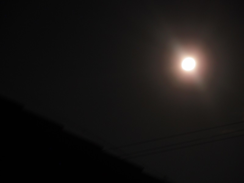 e0018604_19313427.jpg