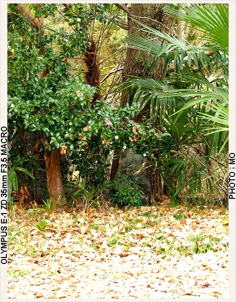 c0185705_14402541.jpg