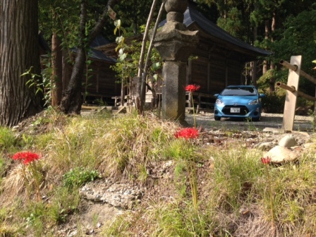 b0079206_230819.jpg