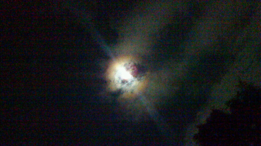b0193708_9372081.jpg