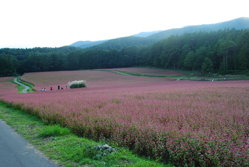 d0273508_21133739.jpg