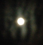 f0162908_22403733.png