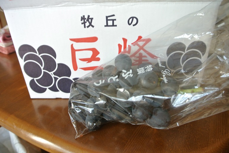 f0179209_10263315.jpg