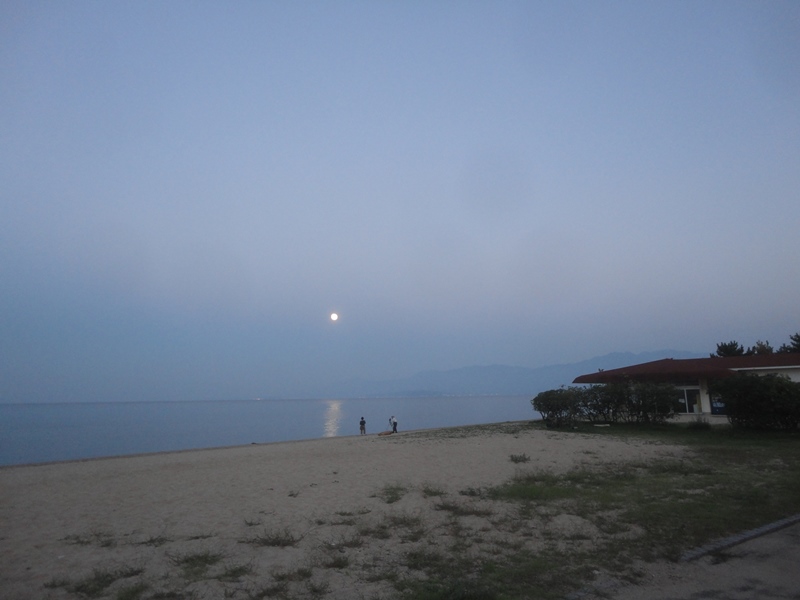 f0231709_6392927.jpg