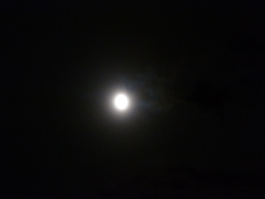 b0035611_2094316.jpg