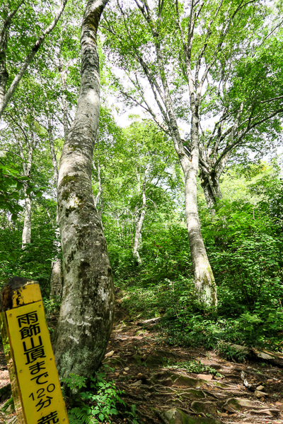 b0244811_20543480.jpg