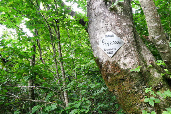 b0244811_2055877.jpg