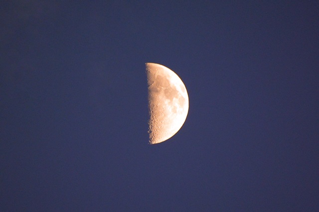f0046614_15278100.jpg