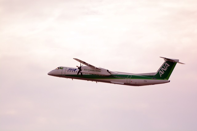 f0046614_1561268.jpg