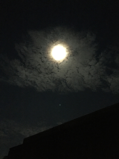 b0268815_16544204.jpg