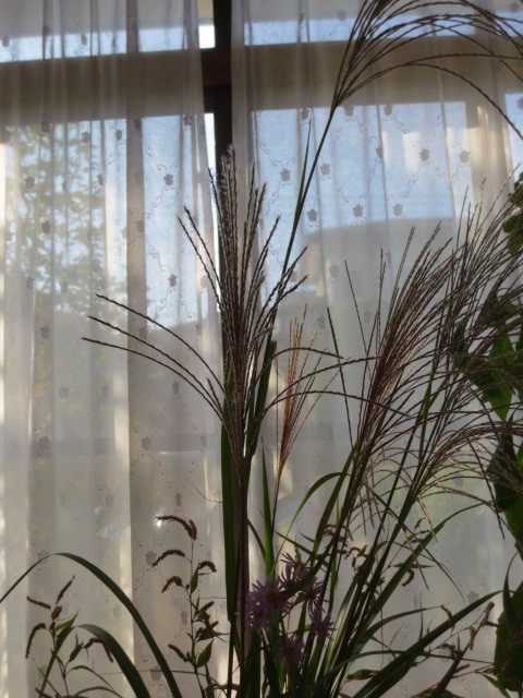 f0248616_08343213.jpg