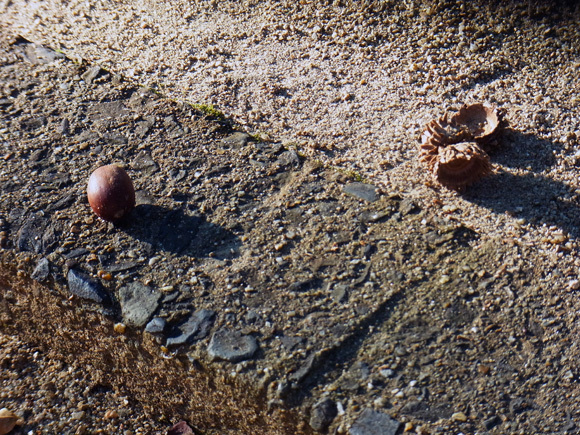 e0083517_00210161.jpg