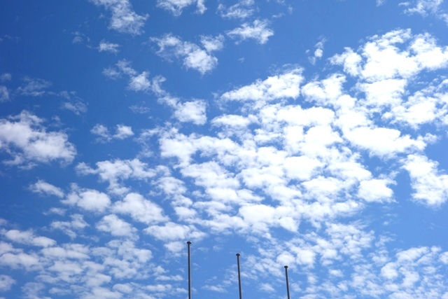 a0239418_19095497.jpg
