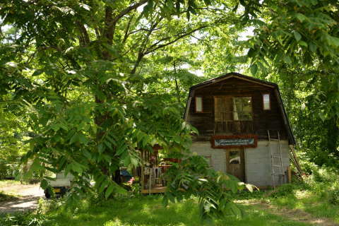 e0335926_13301361.jpg