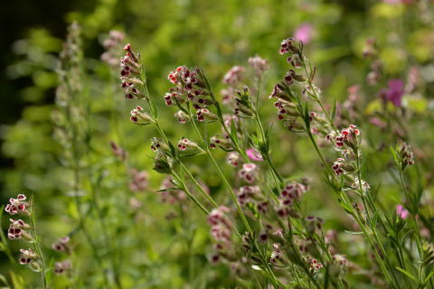 e0335926_13381897.jpg