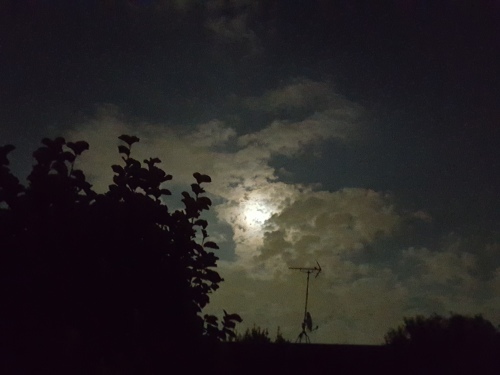 e0016828_11200988.jpg