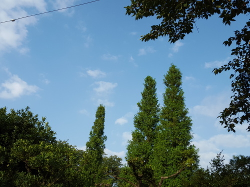 e0016828_11394843.jpg