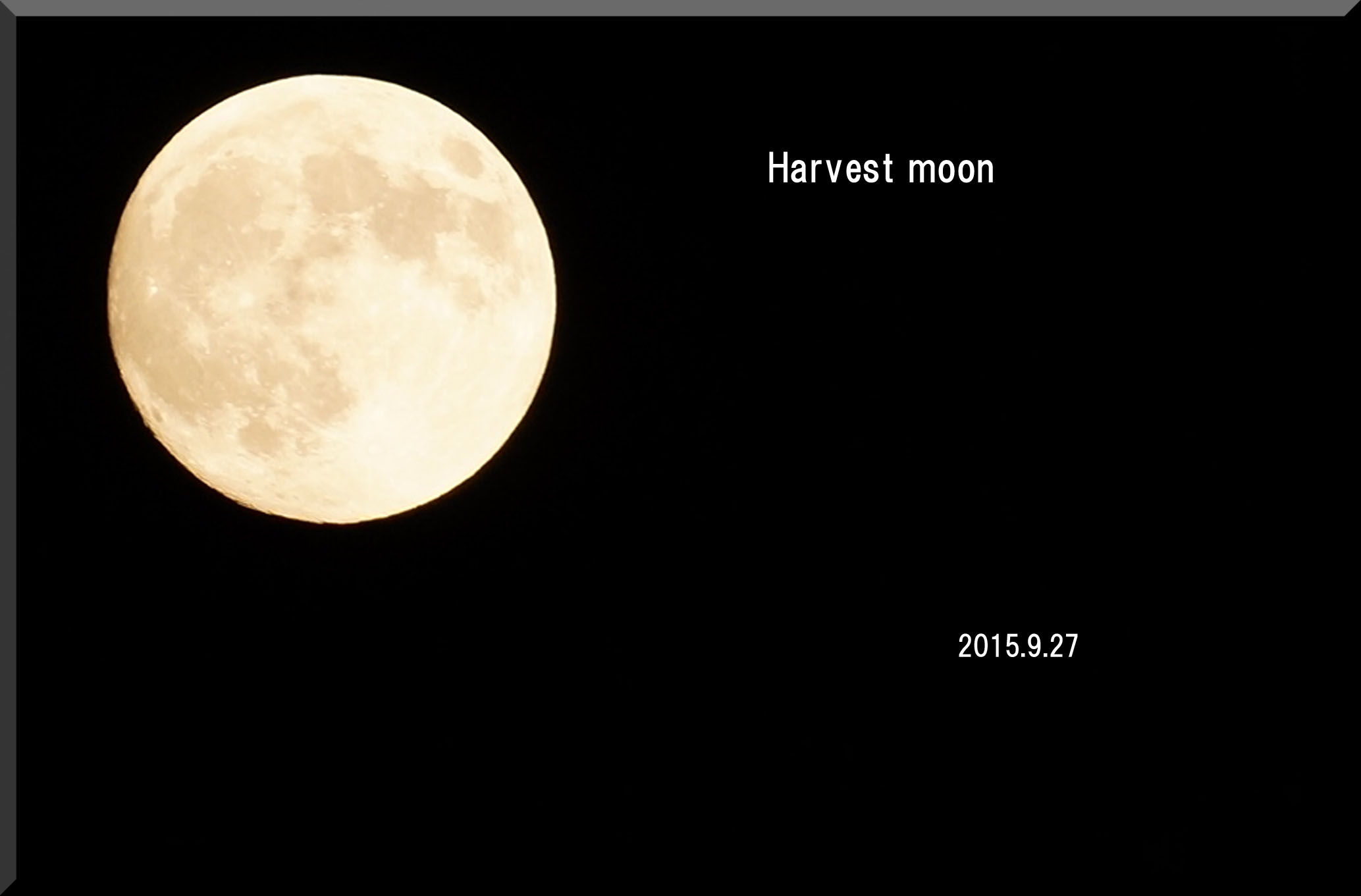 b0162732_20374298.jpg