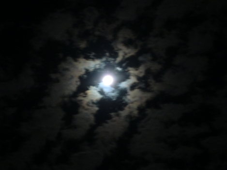 c0236632_862629.jpg