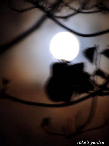 b0343934_22110107.jpg