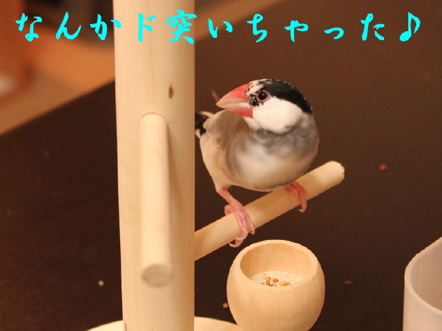 c0365734_22472694.jpg