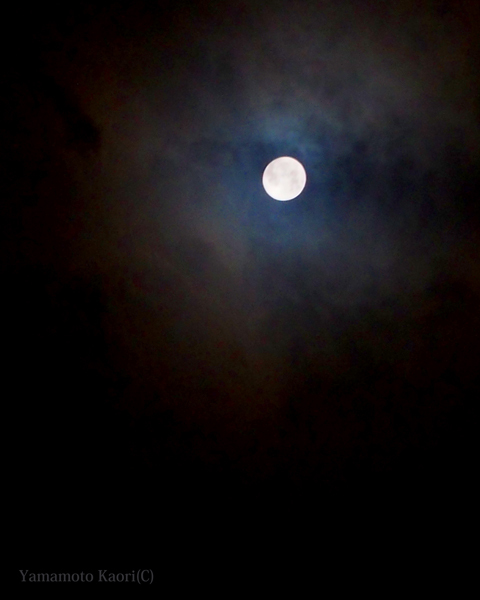 a0095337_23400818.jpg