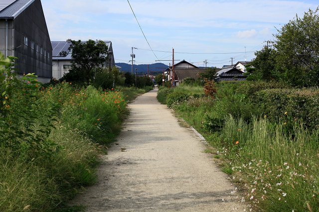 a0242438_18514155.jpg