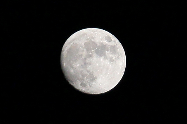 a0242438_19131796.jpg