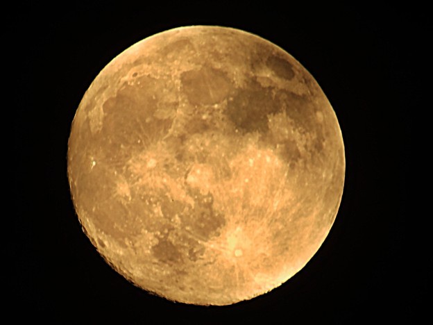 f0073639_21215398.jpg
