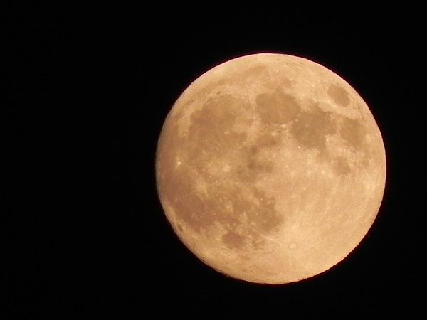 b0341140_1657367.jpg