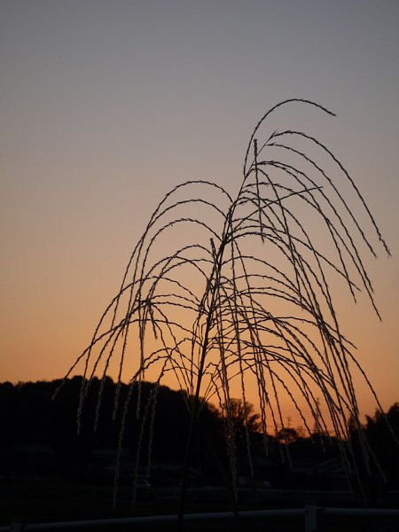 b0341140_1657554.jpg