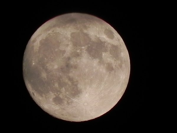 b0341140_1658578.jpg