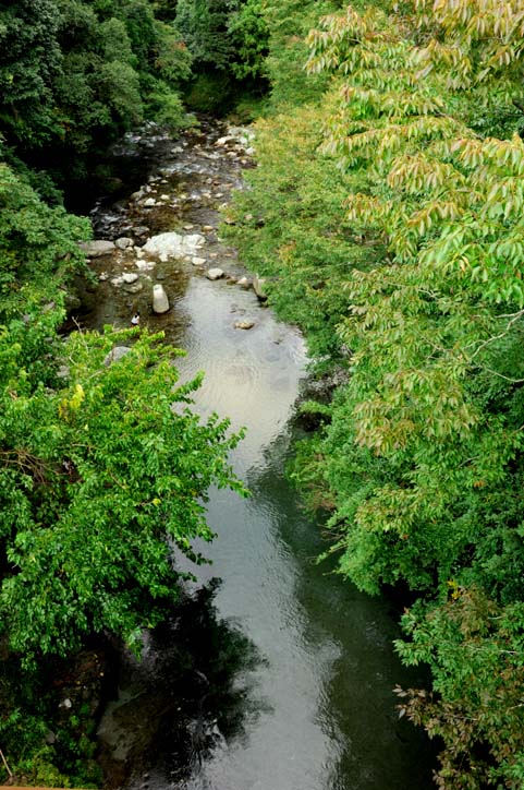 b0075541_13584761.jpg