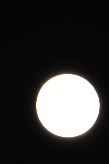 d0120442_2092380.jpg