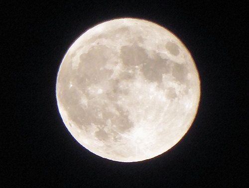 d0039443_22244451.jpg