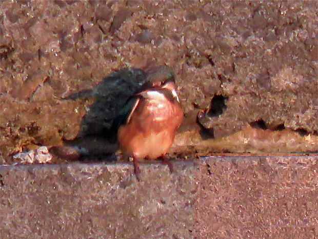 f0214649_1147310.jpg