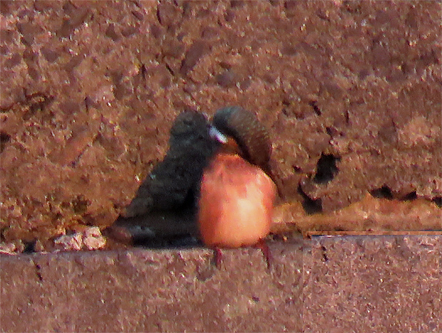 f0214649_11475334.jpg