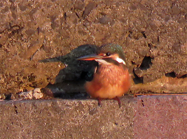 f0214649_11481885.jpg