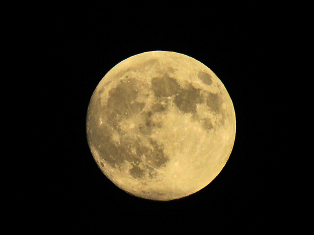 f0214649_7484015.jpg