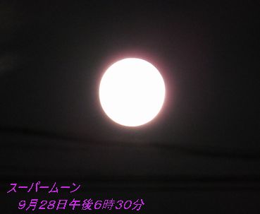 b0133752_21225248.jpg